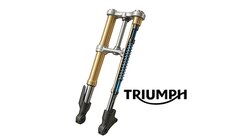 Вилки TRIUMPH